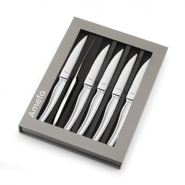 Coffret Couteaux Steak 22 cm