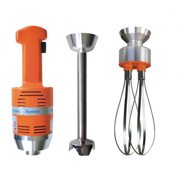 Mixeur Plongeant et Fouet en acier inoxydable