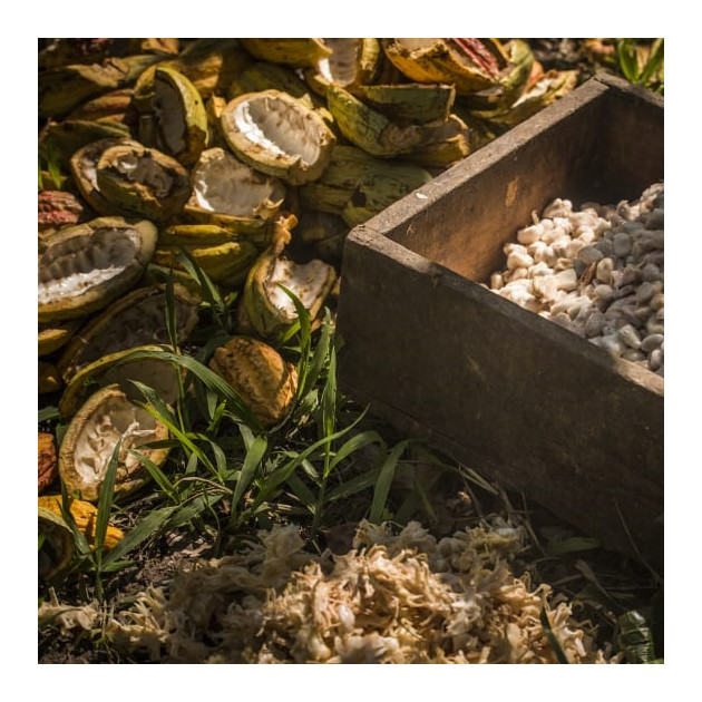 Chocolat Noir Manjari 64% et 100% de Madagascar Valrhona