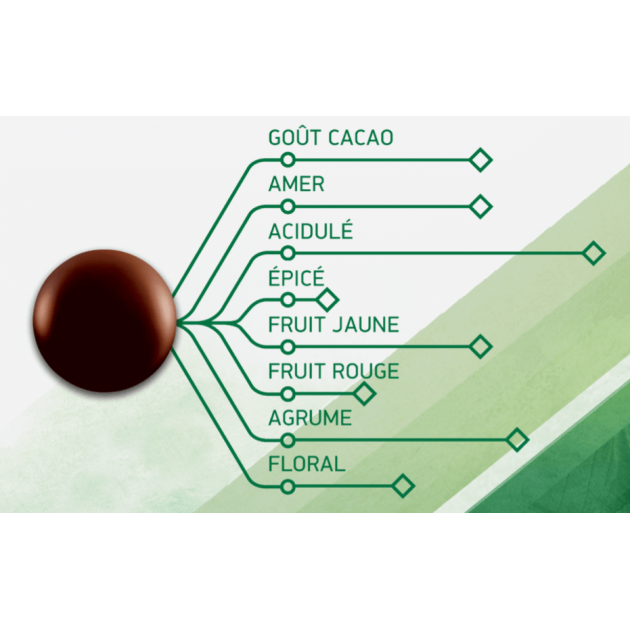 Détails des arômes du chocolat de couverture Barry Evocao Détails des arômes du chocolat de couverture Barry Evocao