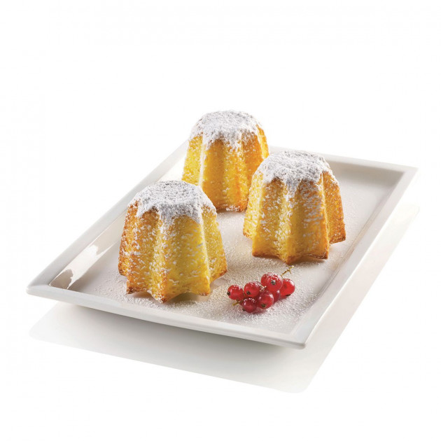 Moule Silicone Mini Pandoro Silikomart Professional