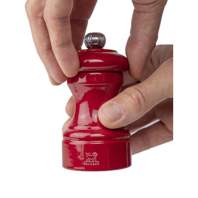 Moulin à Poivre Manuel Peugeot