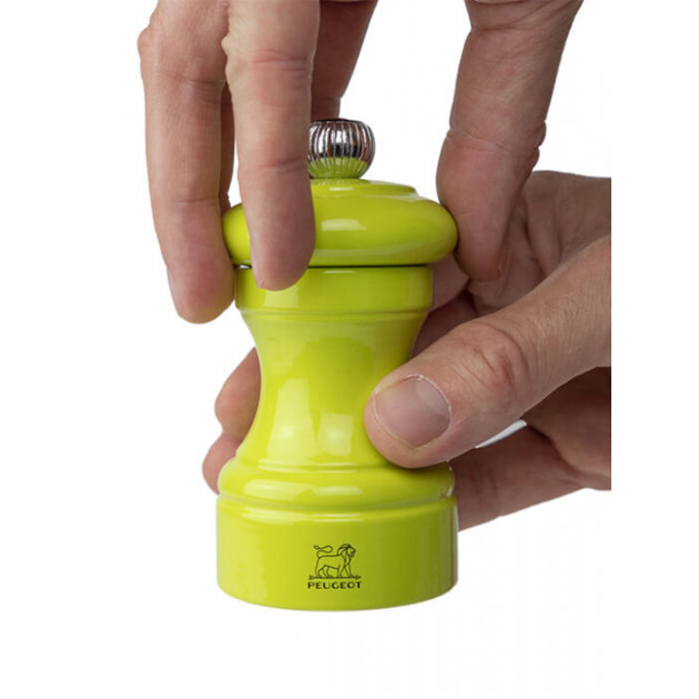 Moulin à Sel Manuel Peugeot