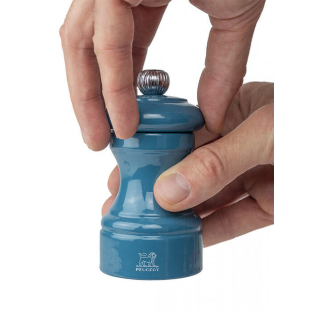 Moulin à Sel Manuel Peugeot Moulin à Sel Manuel Peugeot