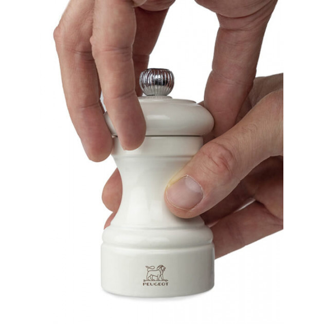 Moulin à Sel Manuel Peugeot Moulin à Sel Manuel Peugeot