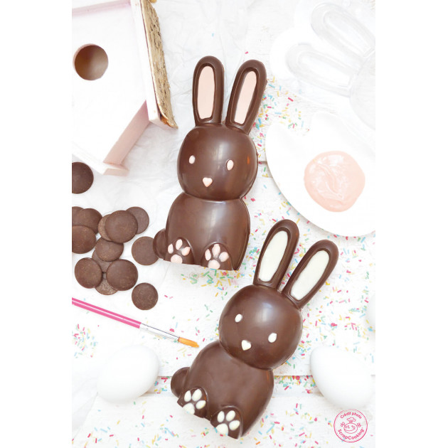 Empreinte 3D Choco Lapin Empreinte 3D Choco Lapin