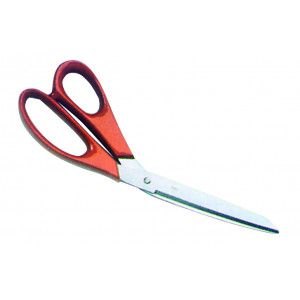 Ciseaux à Poisson 25 cm en inox Ciseaux à Poisson 25 cm en inox