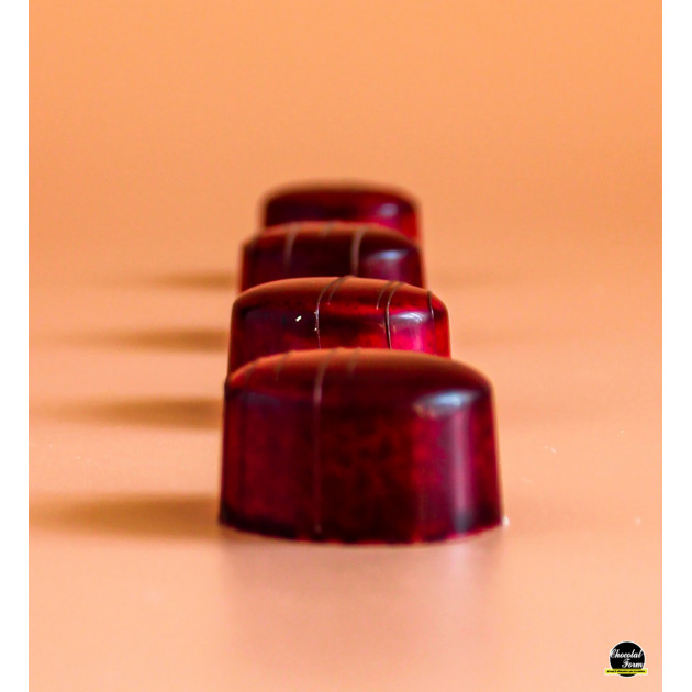 Moule à chocolat professionnel