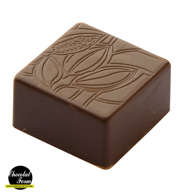 Moule Chocolat Praline Carrée Fève 2,5 cm (x24) Chocolat Form