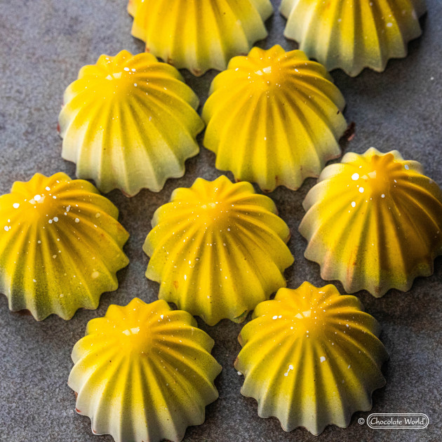 Moule à chocolats professionnel