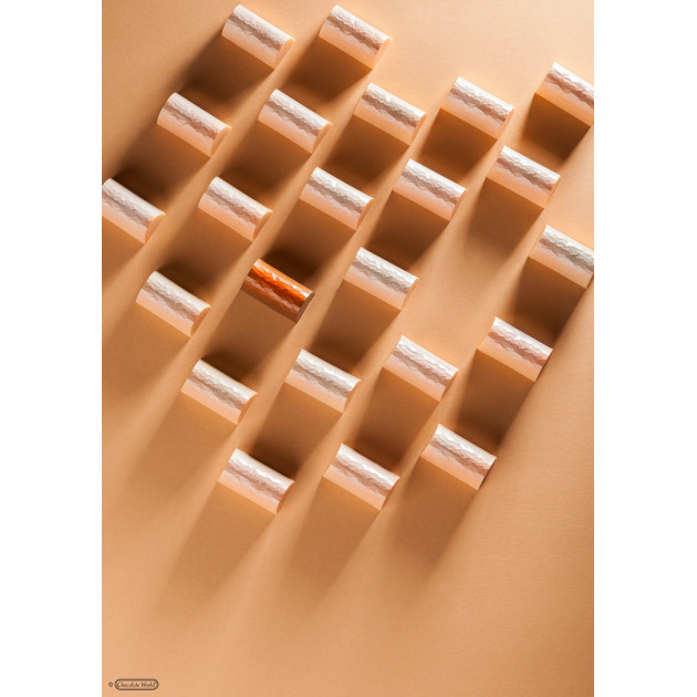 Moule à mini-bûches Chocolate World