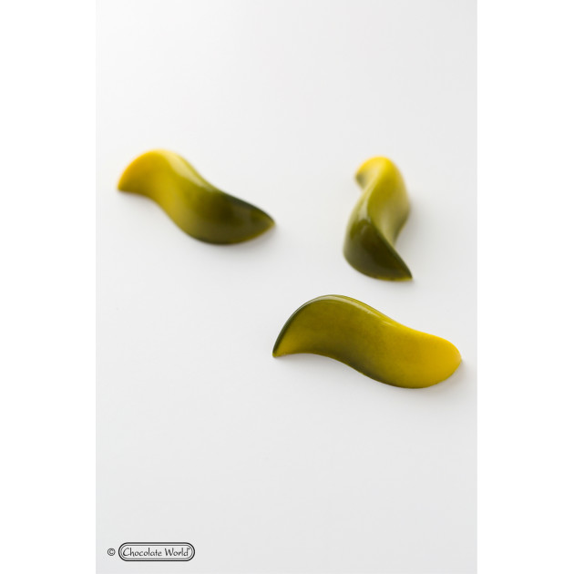 Moule pour chocolat professionnel