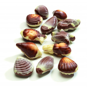 Boîte de Chocolat Fruits de Mer 3.5 kg Hamlet Boîte de Chocolat Fruits de Mer 3.5 kg Hamlet