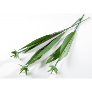 Tiges pour Tulipes en Chocolat x200 Chocolate World