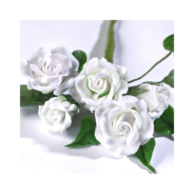  Presentation Fleurs en Gum Paste