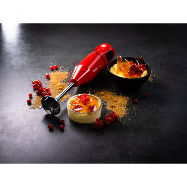 Mixeur Cordless Rouge Bamix  Mixeur Cordless Rouge Bamix