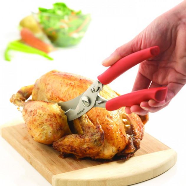 Ciseaux a Volaille et Pizza avec lames longues et courbes