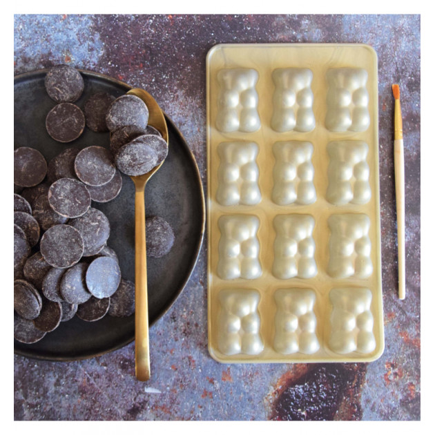 Moule chocolat ourson