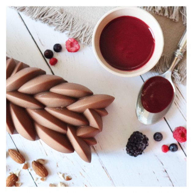 ScrapCooking - Moule à Bûche de Noël Céleste - Kit Accessoires Pâtisserie  avec Insert pour Dessert de Noël - Avec Recette Bûche Fruits Rouge - Bûche