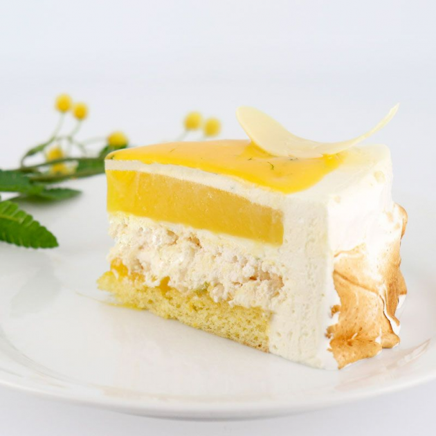 Gâteau Bavarois Gel Citron 100 g Patisdecor Gâteau Bavarois Gel Citron 100 g Patisdecor