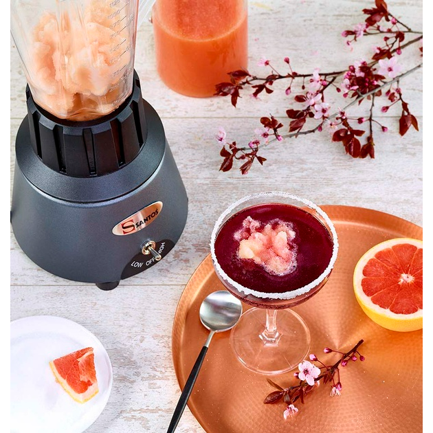 Blender de Bar professionnel 1.25 L Gris Chrome Santos n°33 Blender de Bar professionnel 1.25 L Gris Chrome Santos n°33