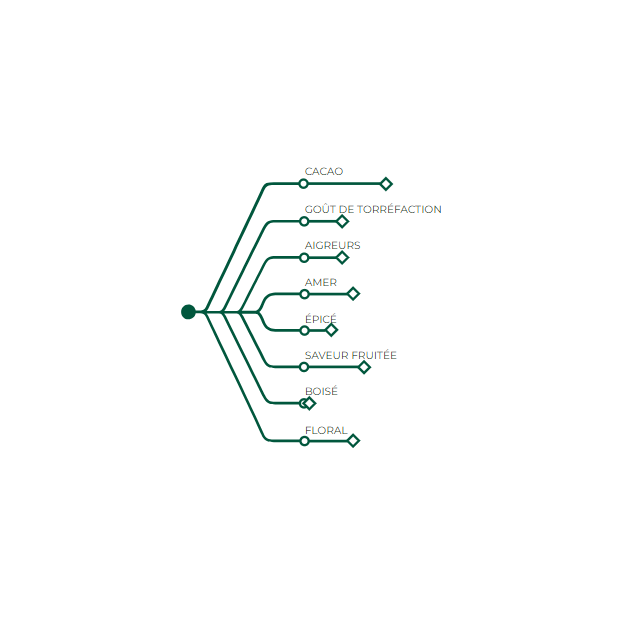 Profil aromatique chocolat noir Saint-Domingue  Profil aromatique chocolat noir Saint-Domingue