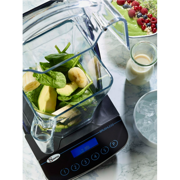 Mixeur Brushless Professionnel Santos