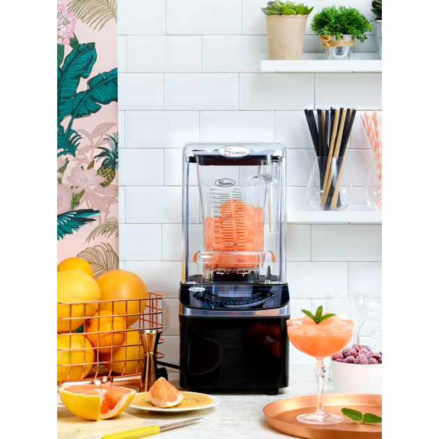 Mixeur Professionnel Santos