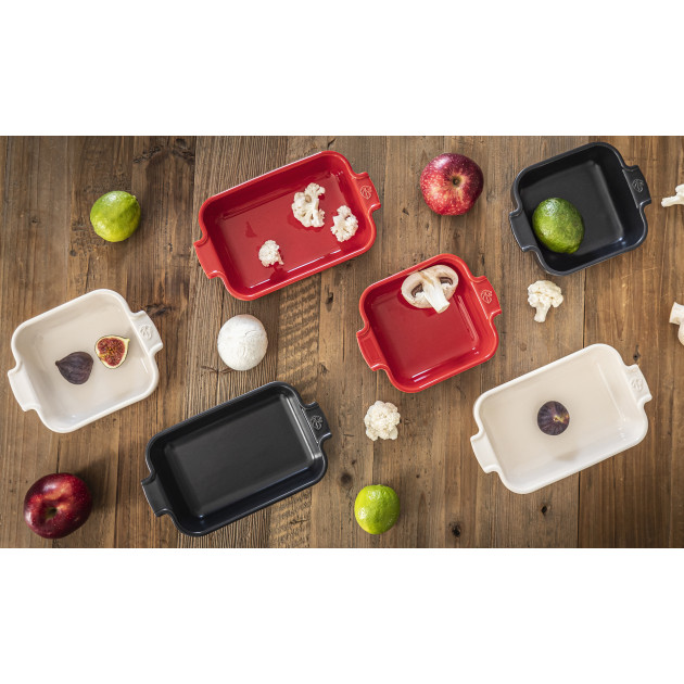 Plat de cuisson Peugeot