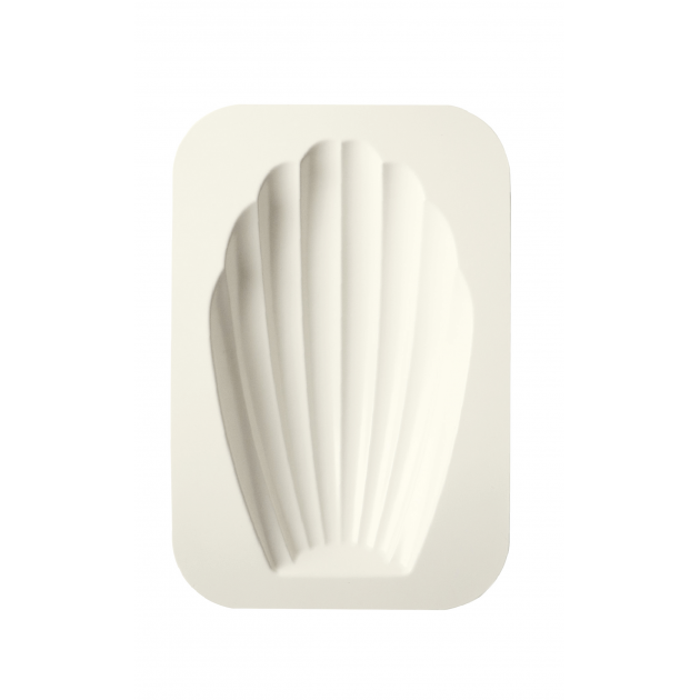 Moule à Madeleine