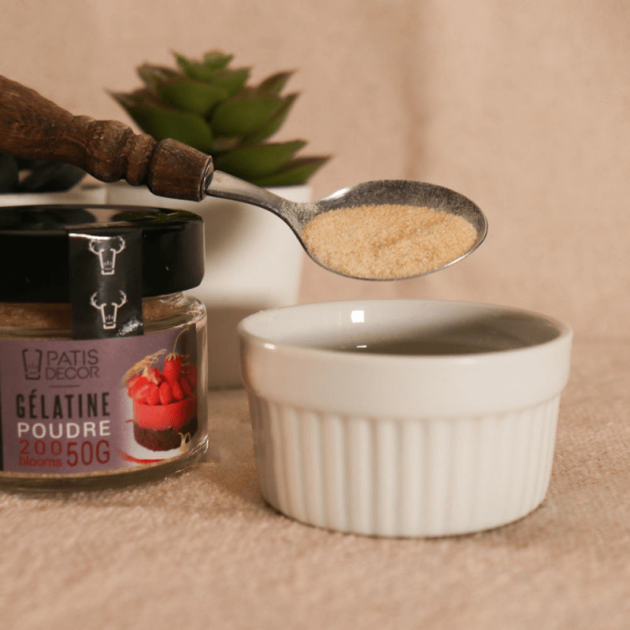 Gélatine en poudre 