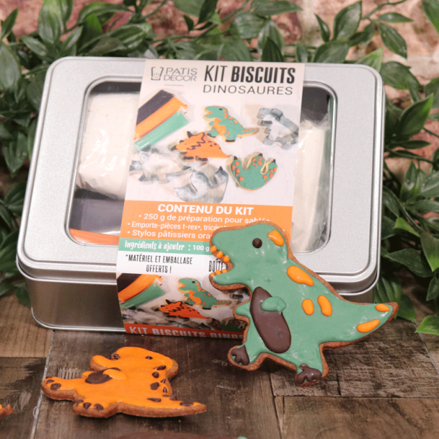 Coffret dinosaures