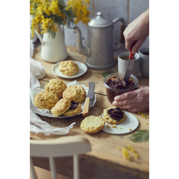 Opinel - Couteau en Inox