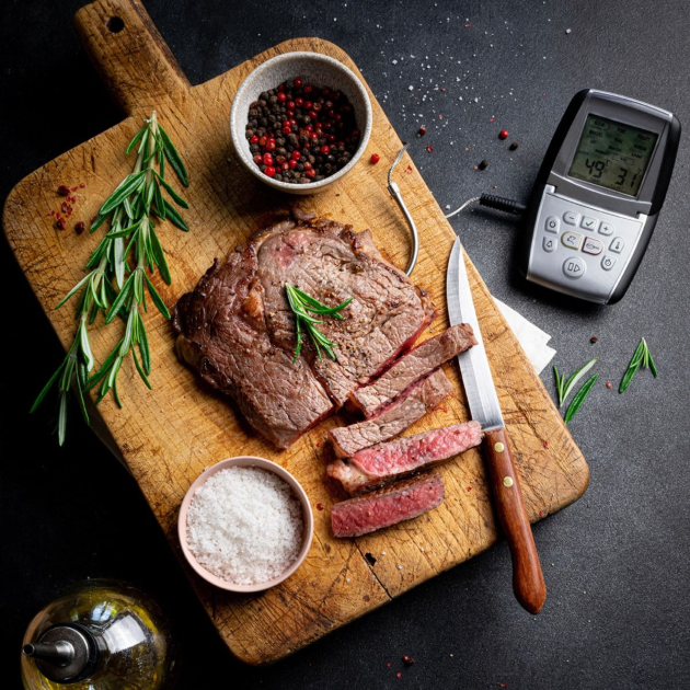 Thermosonde Mastrad Thermosonde Mastrad