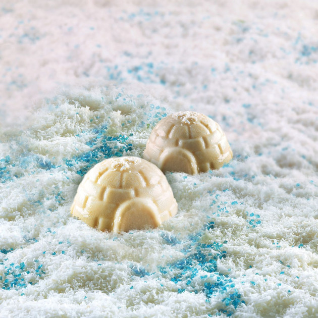 Moule Silicone Igloos 