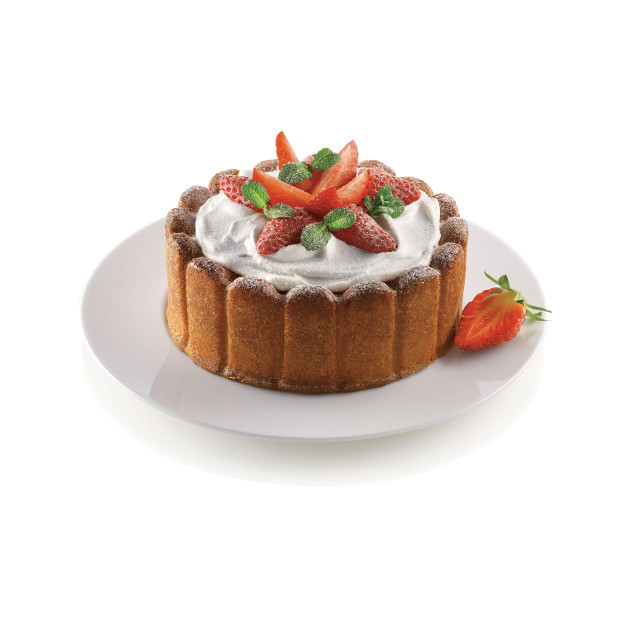  Moule Silikomart charlotte