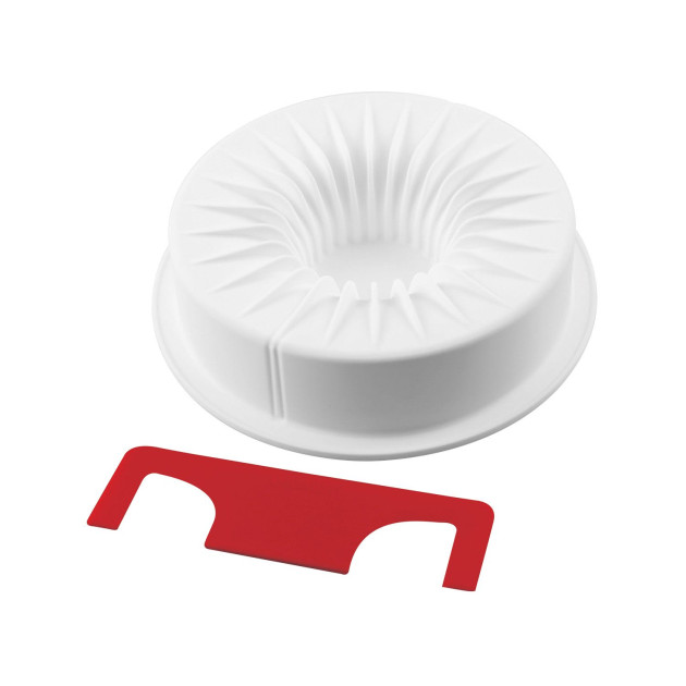 Moule silicone silikomart + separateur pour glaçage Moule silicone silikomart + separateur pour glaçage