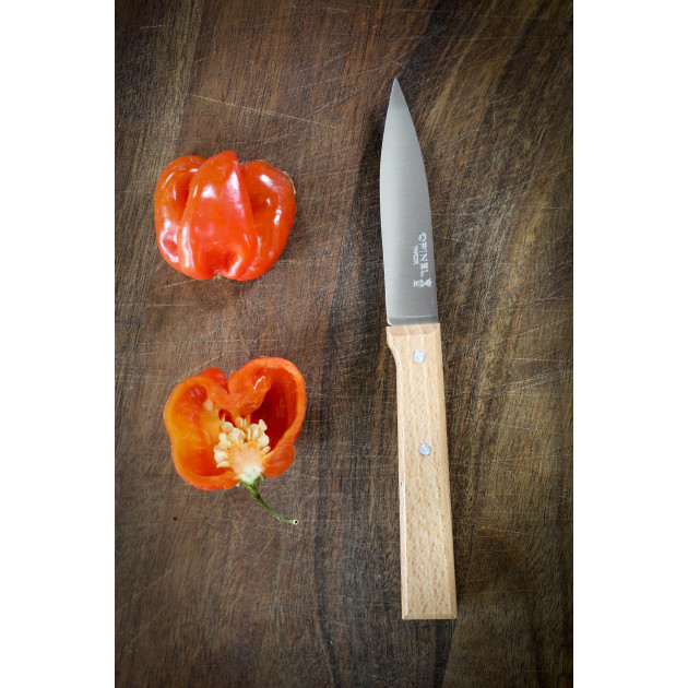 Coffret Opinel - Couteaux en Inox