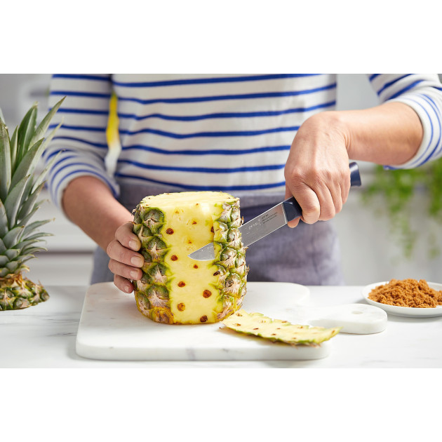 Collection Intempora - Couteaux de Cuisine Collection Intempora - Couteaux de Cuisine