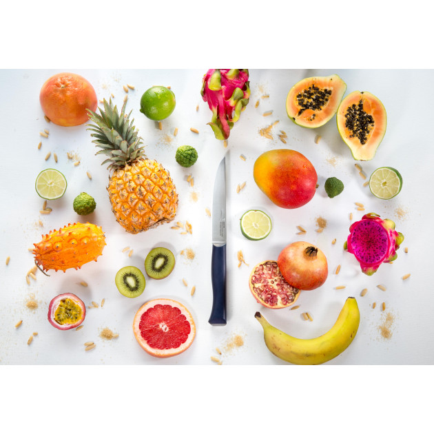 Couteau pour Découper Intempora Couteau pour Découper Intempora