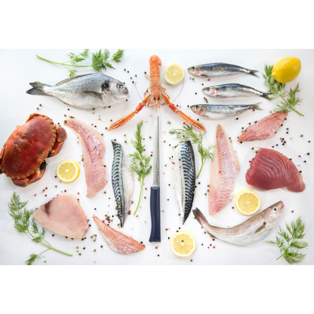 Couteau de Cuisine Opinel