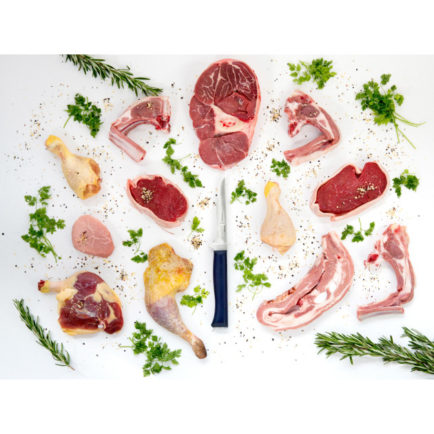 Couteau à Viande en Inox