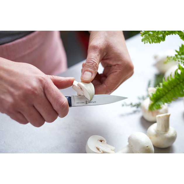 Couteau d'Office en Inox