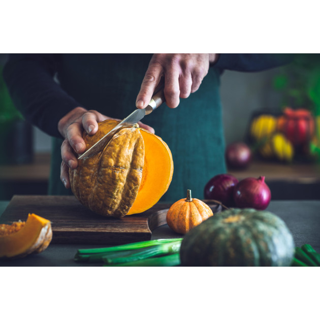 Couteau Opinel Garanti à Vie