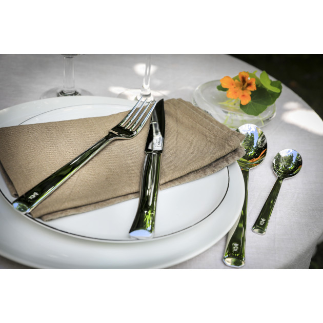 Couverts de Table en Inox