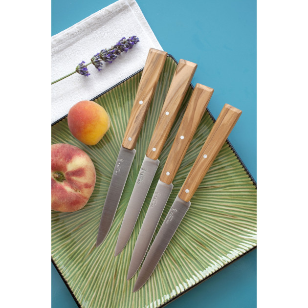 Couteaux de Table Bon Appétit ! Opinel Couteaux de Table Bon Appétit ! Opinel