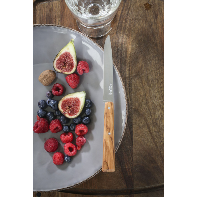 Bon Appétit Opinel - Couteaux de Table Bon Appétit Opinel - Couteaux de Table