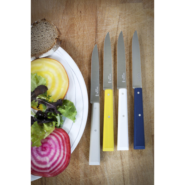 Couteaux de Table en Inox