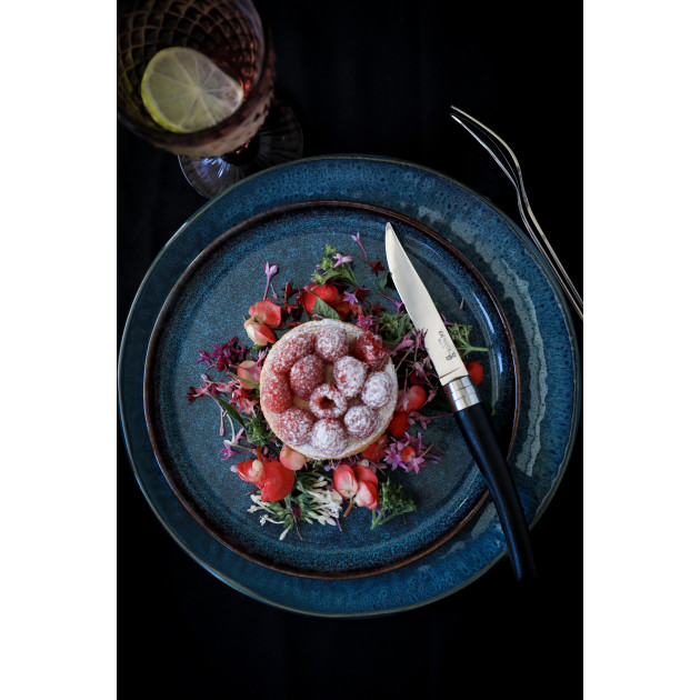 Couteaux en Inox Couteaux en Inox