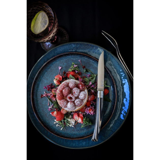 Couteaux de Table en Inox